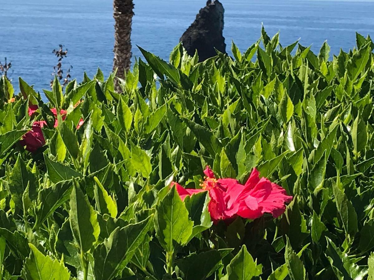 Apartamentos Do Mar Funchal Apartment Funchal (Madeira)